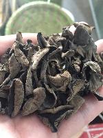 東北農(nóng)副產(chǎn)品概覽 常見(jiàn)品類(lèi)、價(jià)格趨勢(shì)與識(shí)別指南