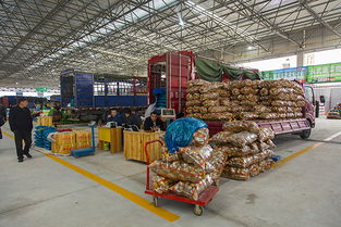 麗水南城農(nóng)副產(chǎn)品市場(chǎng) 鏡頭下的“山耕”之美